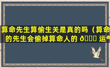 算命先生算偷生关是真的吗（算命的先生会偷掉算命人的 🐅 运气吗）
